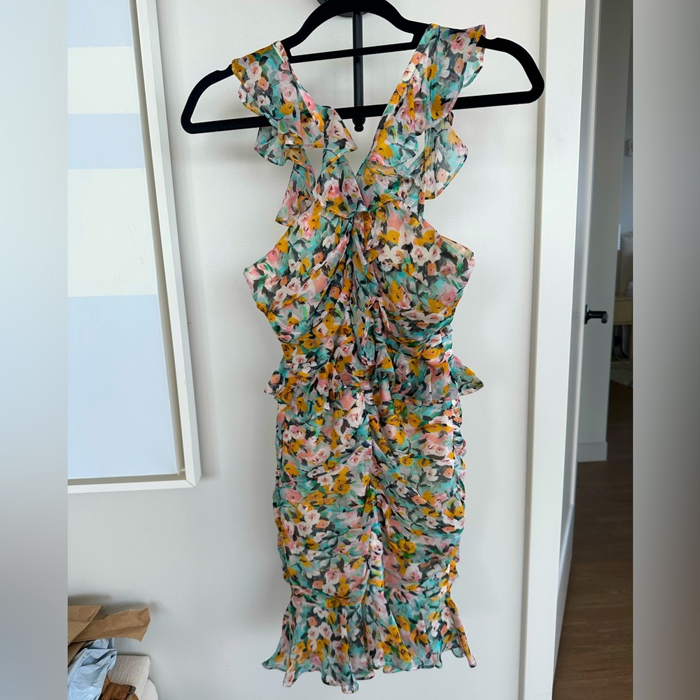 AMUR Floral Ruffle Dress